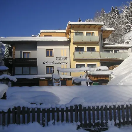 Schaubensteiner *