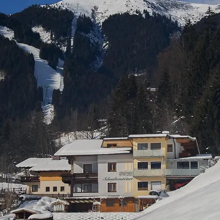 Schaubensteiner