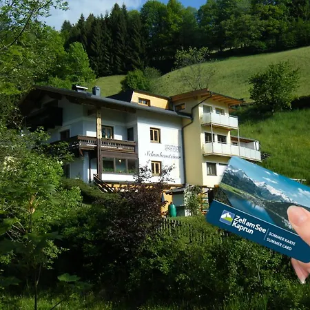 Schaubensteiner