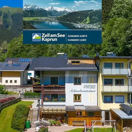 Schaubensteiner *