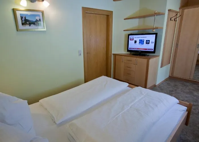 شاوبنشتاينر شقة زيل أم سي