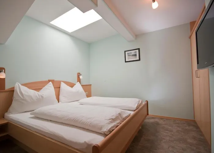 شاوبنشتاينر شقة زيل أم سي