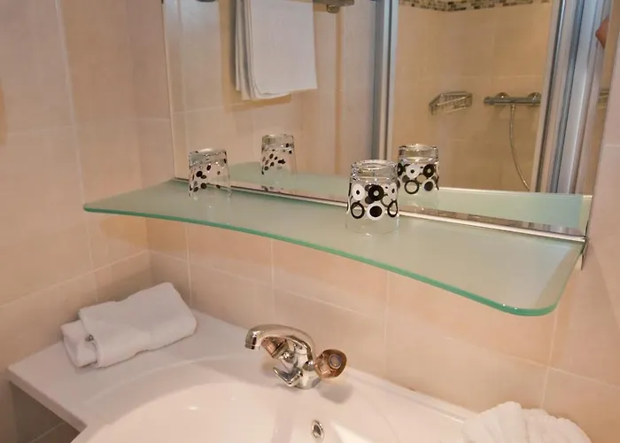 شاوبنشتاينر *