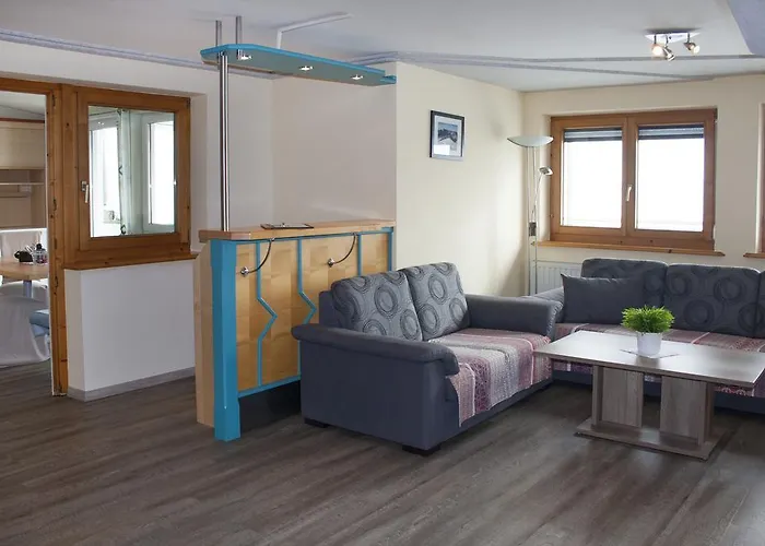 شاوبنشتاينر زيل أم سي