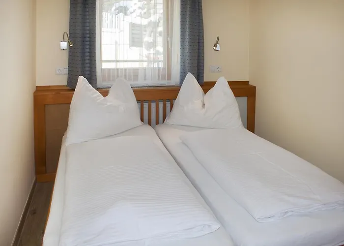 شاوبنشتاينر